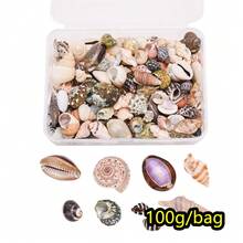 100g Manik-Manik Kerang Gaya Bohemian, Perhiasan Kerang Alami untuk Membuat Anting dan Gelang, Aksesoris Dekorasi Pantai - Set cangkang - View 12