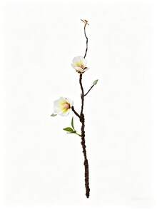 1件/4件/8件 人造木蘭花，簡單塑料仿真花莖，適用於婚禮、派對、節日裝飾、情人節、DIY、禮物、生日、畢業、家居裝飾、返校季房間裝飾、學校用品。由於拍攝光線不同 - 彩色 - 查看 8