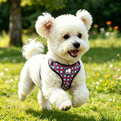BVEOYPET Bộ dây đeo và dây dắt chó kẻ caro dễ thương - Áo vest phản quang chống kéo giật, có thể điều chỉnh, phù hợp cho chó nhỏ/trung bình, dây đeo ngực mềm mại, thoáng khí cho chó con, bộ dây dắt chó đi dạo hàng ngày họa tiết kẻ caro thời trang.