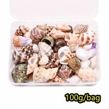 100g Manik-Manik Kerang Gaya Bohemian, Perhiasan Kerang Alami untuk Membuat Anting dan Gelang, Aksesoris Dekorasi Pantai - Set cangkang - View 10