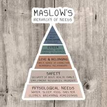 Bộ 1/2/5 miếng dán vinyl hình Tháp nhu cầu của Maslow, thích hợp cho các chuyên gia sức khỏe tâm thần, nhà trị liệu, nhà tâm lý học, cố vấn, dán lên máy tính xách tay, sổ tay, bình nước, bàn học. - A - Xem 9
