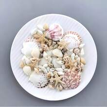 Approx. 100pcs/Box Natural Seashells - Suitable For DIY Jewelry Making, Aquarium Decoration, Bathroom Decor, Party Candles, Wedding Decoration, Handicrafts - 1 Box - View 3