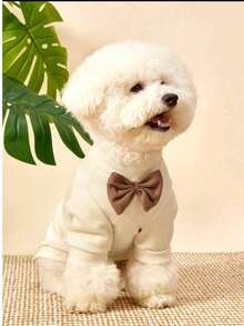 Áo mùa thu bằng vải cotton waffle cho chó nhỏ, áo nỉ cotton có nơ cho mèo cưng giống Pomeranian, Schnauzer, Yorkshire Terrier. - Màu be - Xem 3