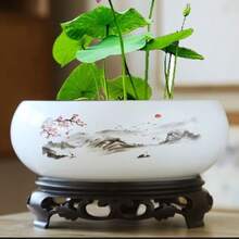 德州陶瓷水培花盆,铜钱草、荷花、金钱草、睡莲、巴西木多肉植物大花盆装饰 - 銅錢花盆 - 查看 3
