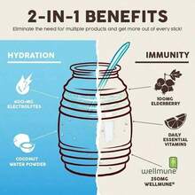 Salud 2-In-1 Hydration Packets + Immunity Electrolytes Powder, Horchata - Agua Fresca Drink Mix, Elderberry, Dairy & Soy Free, Non-GMO, Gluten Free, Vegan, Low Calorie, 1g Sugar (15 Servings) - 2PCS - 查看 3