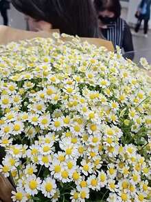 6/60 Pcs White And Yellow Artificial Daisy Bouquet, Perfect For Valentine's Day, Mother's Day, Easter, Wedding Season And DIY Home Decor, Holiday Floral Decor|Decorative Daisy Bouquet - Multicolor - View 3