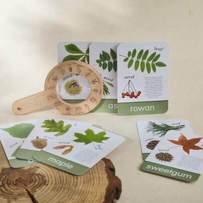 Nature Exploration Set - Magnifier Observation, Plant Identification, Outdoor Nature Observation Toy, Cultivate Scientific Thinking, Park Exploration Set
