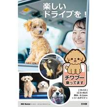 Assorted Stickers - مزيج من كلب تشيهواهوا وكلب بودل - مشاهدة 4