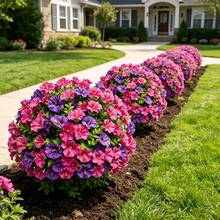 Luxury Large Outdoor Artificial Flowers, Multi-Color Plectranthus Groundcover Floral Arrangement, Groundcover Tree Flowers With Support Frame, UV-Resistant Artificial Mixed Shrub Floral Arrangement, Suitable For Indoor And Outdoor Summer And Autumn Decoration: Home Decor, Hotel Garden, Wedding, Vacation Scenes, Garden Decoration - Multicolor - View 4