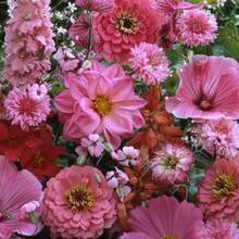 Outsidepride Pink Wild Flower Seed Mix - 400pcs Seeds - View 2