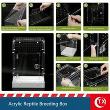 壓克力無脊椎動物飼養盒,爬蟲與昆蟲透明餵食容器,8*8*12 可拆卸插接設計,適用於幼年塔蘭圖拉蜘蛛、跳蛛、小蛇、青蛙及其他兩棲動物,耐用堅固,附門與磁吸頂蓋,通風良好且底部防水,360°全景視角觀察寵物活動 - 彩色 - 查看 9
