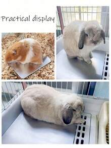 1 tấm đệm nhôm làm mát mùa hè cho chuột hamster, thảm làm mát cho chuột hamster nhỏ, thỏ, mèo con, làm mát hiệu quả, thảm nằm mùa hè cho thỏ, đệm ngủ cho động vật nhỏ, đồ dùng làm mát cho chuột hamster. - Xem 3