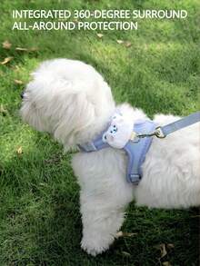 小型犬牵引绳和胸背带，适合贵宾犬、泰迪犬、幼犬等宠物散步，胸带牵引绳 - 淺藍色 - 查看 4