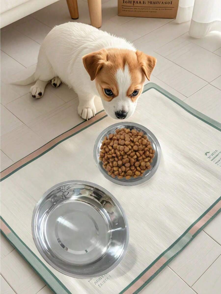 不锈钢猫狗碗，易于清洁的宠物碗，适用于宠物食物和水，适合各个阶段的宠物
