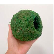Grotte de mousse, grotte de mousse artificielle verte, cachette pour animaux de compagnie reptiles grenouilles et serpents, décoration pour terrarium et vivarium, décoration de terrarium pour gecko (vert forêt) - Vert - Voir 11