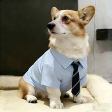 一件小型/中型犬衬衫，轻薄透气的纯棉面料，适合贵宾犬、比熊犬、博美犬、雪纳瑞犬、约克夏梗犬、柯基犬幼犬及成犬。复古翻领设计，纯色/格子/条纹可选，柔软亲肤，宽松舒适，方便穿脱。做工精细，经久耐穿，不易变形，适合居家、散步、派对、拍照、生日等场合。百搭时尚宠物服装，轻薄透气，四季皆宜。 - 淺藍色 - 查看 5