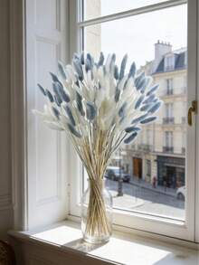 Blue and White Rabbit Tail Grass