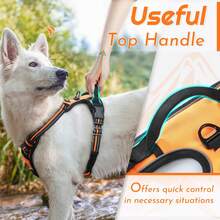 No Pull Reflective Dog Harness With Leash Set, Adjustable Soft Mesh Pet Vest Harness With Easy Control Handle, Breathable Heavy Duty Outdoor Walking Training Chest Strap For Small Medium Large Dogs - Orange - View 6