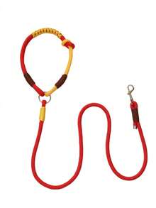 2026 New Durable Woven Dog Leash, Slip-On Dog Leash, Dopamine Color, Suitable For Small, Medium And Large Dogs Outdoor Walking And Training - Multicolor - View 15