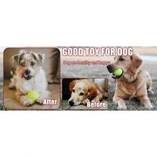 Tennis Balls, 1/3/6/12 Pack Advanced Training Tennis Balls Practice Balls, Pet Dog Playing Balls, Come With Mesh Bag For Easy Transport, Good For Beginner Training Ball (Yellow) NO7A - 1PK - 查看 6