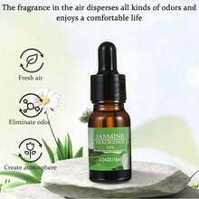 Aromatherapy Essential Oils - Multi Scents - View 7