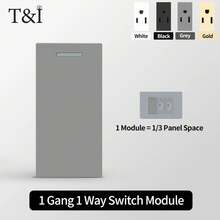Panel de vidrio templado gris de 2x4 pulgadas montado en la pared con dos tomas NEMA 5-15R yódulos de enchufe intercambiables adecuados para EE.UU./Reino Unido/Italia. - Interruptor de 1 vía y 1 módulo - Ver 1