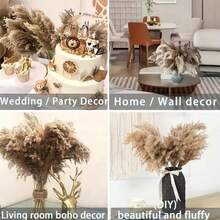 10/20/30/60pcs Pampas Grass Bouquet - Realistic Fluffy White & Brown Rattan Decor, Suitable For Home, Vase, Room, Wedding, Party - Fit For Christmas, Halloween, Easter, Thanksgiving - No Electricity Needed, Enjoy The Good Life - Original Color Luchai - View 5