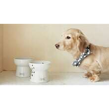 NECOICHI Raised Dog Food Bowl - Cuenco de comida - Ver 7