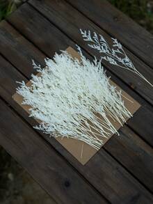 25/50/100/300pcs Artificial Mini Gypsophila - For Resin Mold Art And Crafts, Hair Accessories, Wedding Wreaths, Tabletop Flowers, Home Decor, Etc. - White 1 - View 5