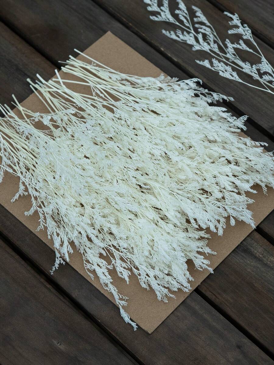 25/50/100/300pcs Artificial Mini Gypsophila - For Resin Mold Art And Crafts, Hair Accessories, Wedding Wreaths, Tabletop Flowers, Home Decor, Etc. - White 1 - View 1