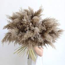 10/20/30/60pcs Pampas Grass Bouquet - Realistic Fluffy White & Brown Rattan Decor, Suitable For Home, Vase, Room, Wedding, Party - Fit For Christmas, Halloween, Easter, Thanksgiving - No Electricity Needed, Enjoy The Good Life - Original Color Luchai - View 1