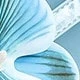 Baby Blue