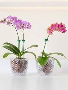 20入 37cm/14.56in 室內植物支撐桿，盆栽攀爬植物格柵，綠色植物園藝攀爬架，防傾斜支撐桿，適用於幼苗、番茄、花卉、蔬菜、玫瑰，園藝配件，園藝愛好者必備 - A - 查看 4