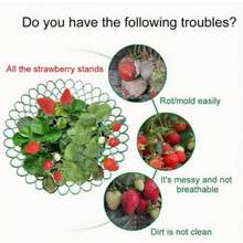 5-10pcs Strawberry Plant Support Racks With 3 Stable Legs, Strawberry Planting Protective Frame, Anti-Mold Anti-Corrosion Anti-Pollution Cage - Strawberry Planting Rack - View 3