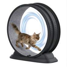 Ein Indoor-Laufrad für Katzen, mit abnehmbarem Teppich, ein leises Balancebike, geeignet zum Laufen, Gehen und Trainieren. Geeignet für die meisten Katzen. Geräuscharmer Indoor-Roller. - Grau - Übersicht 5
