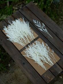 25/50/100/300pcs Artificial Mini Gypsophila - For Resin Mold Art And Crafts, Hair Accessories, Wedding Wreaths, Tabletop Flowers, Home Decor, Etc. - White 1 - View 3