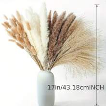 10/20/30/40支人造香蒲裝飾，17.3英吋迷你仿真香蒲羽毛花束，棕色波西米亞風花卉裝飾，適用於婚禮花瓶、花環、臥室與居家DIY花藝布置 - 棕色 - 查看 3