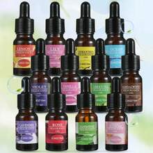 Aromatherapy Essential Oils - Multi Scents - View 8