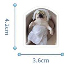 100pcs Cute Dog Stickers, Realistic Puppy Adorable Pet Decorative Stickers For Scrapbooking - A - View 5