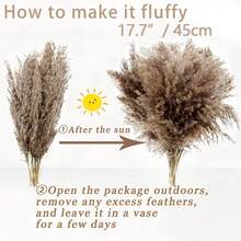 10/20/30/60pcs Pampas Grass Bouquet - Realistic Fluffy White & Brown Rattan Decor, Suitable For Home, Vase, Room, Wedding, Party - Fit For Christmas, Halloween, Easter, Thanksgiving - No Electricity Needed, Enjoy The Good Life - Original Color Luchai - View 2