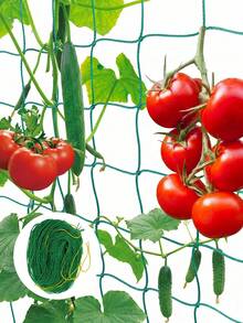 1pc Plant Climbing Net, Climbing Plant Support Net Featuring A Mesh Grid, Sturdy PE Plant Climbing Net, Planting Supplies & Tools, For Cucumbers, Vining Plants, Vegetables, Fruits, Flowers, And Tomatoes - Multicolor - View 2