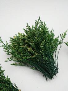 25/50/100/300 颗迷你人造满天星 - 用于树脂模具艺术和工艺品，象牙白花束，可用于发饰、婚礼花环、餐桌中心装饰品、家居装饰等。 - 綠色情人草 - 查看 6