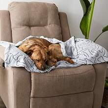 DII Bone Dry Warm, Soft, Plush, Microfiber Pet Blanket for Couch, Car, Trunk, Cage, Kennel, Dog House, Grey - Gris hueso - Ver 6