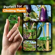 200pcs Multi-Purpose Plant Clips, Tomato Clips, For Climbing Plants, Plastic Grid Plant Support Clips, Suitable For Garden, Reusable Clips For Supporting Grape, Tomato Vines And Vegetable Plants, Keeping Plants Upright And Healthier - Dark Green - View 7