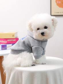 1件寵物衣服，可愛雛菊衛衣，適合小型犬與貓，春季/秋季舒適的小寵物穿著 - 灰色 - 查看 3