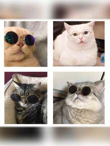 1pc/2pcs Optional Resin Pet Sunglasses, Hip-Hop Style Solid Color Round Frame Lightweight Wearable Detail, Photo Decoration Accessory, Universal For Cats And Dogs, Suitable For Daily Street Photography, Outdoor Check-In, All-Season Dressing Scenes - Multicolor - View 6