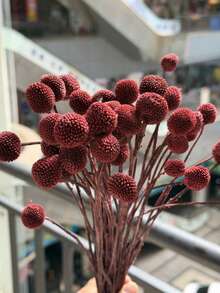 Reddish-brown
