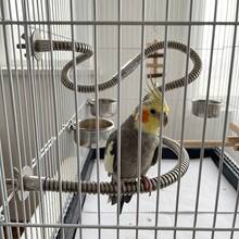 1 pieza Percha ajustable de acero inoxidable para loros, juguete flexible de varios ángulos antideslizante para aves, accesorio de jaula duradero y fácil de limpiar adecuado para loros, cacatúas y todas las aves domésticas - Ver 4