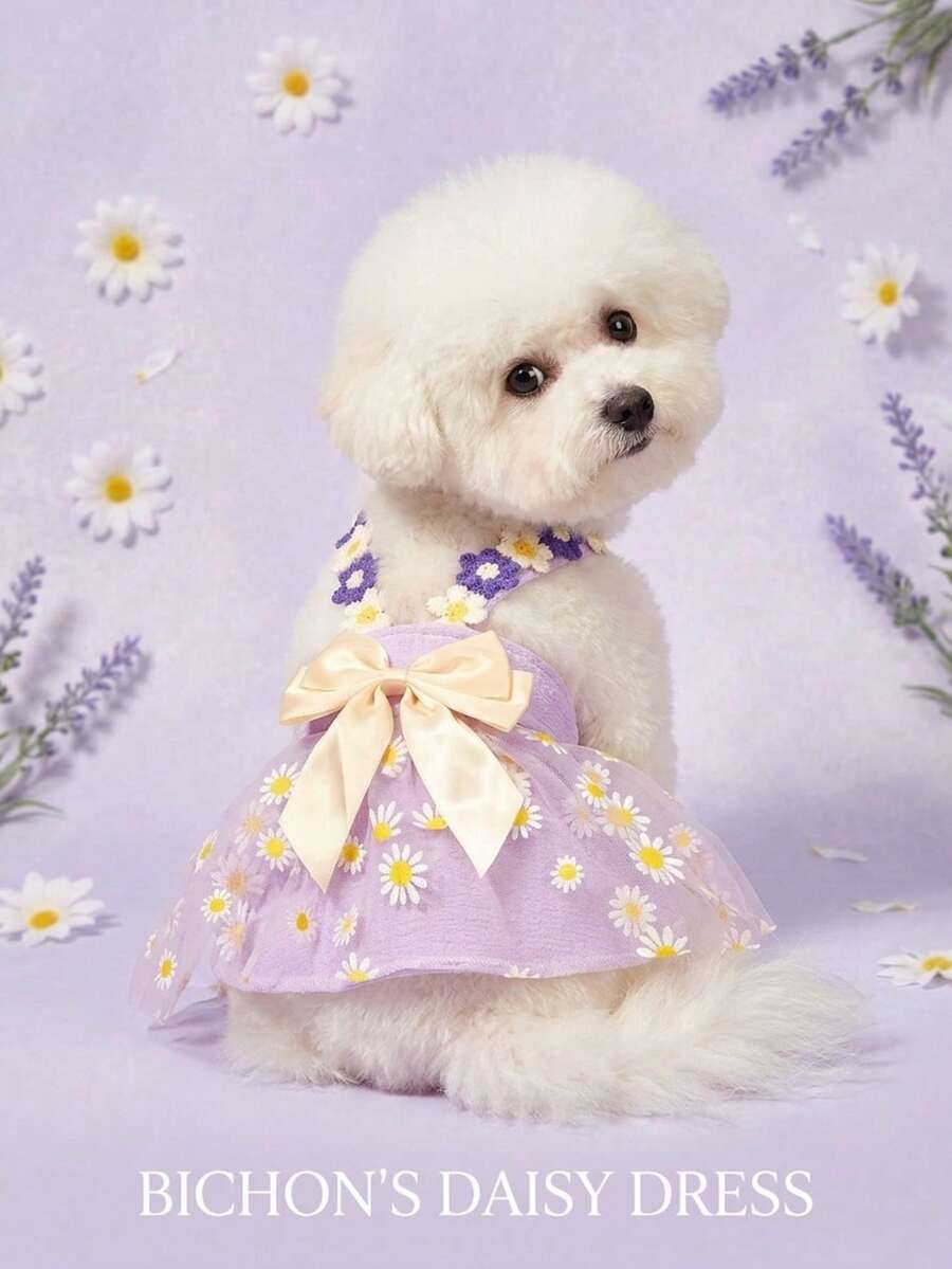PETSIN 1 件可爱小雏菊蕾丝紫色薄纱蝴蝶结连衣裙,甜美狗狗服装,适合宠物通用 - 彩色 - 查看 1