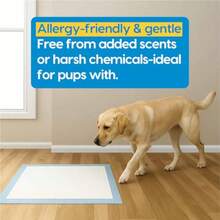Animal Planet Almohadilla de entrenamiento para cachorros para perros 50 unidades almohadillas de entrenamiento para orinal. 5 capas de protección contra fugas que absorben la orina y se convierte en gel al instante. Almohadillas de entrenamiento para cachorros para bolígrafo de perro, sin pañuelos de baño - Paquete de 50 - Ver 8